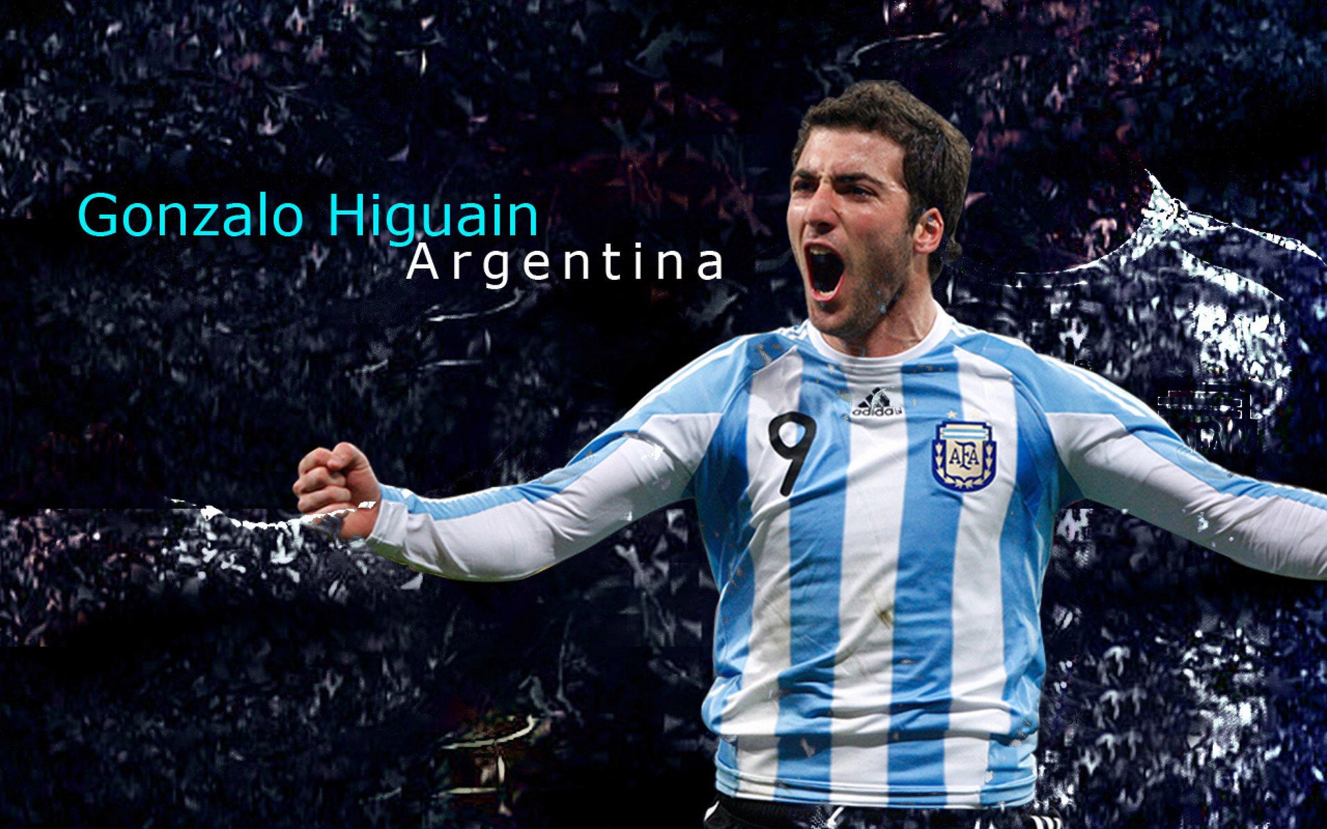 博卡关注数据化训练与运动科学,博卡系统